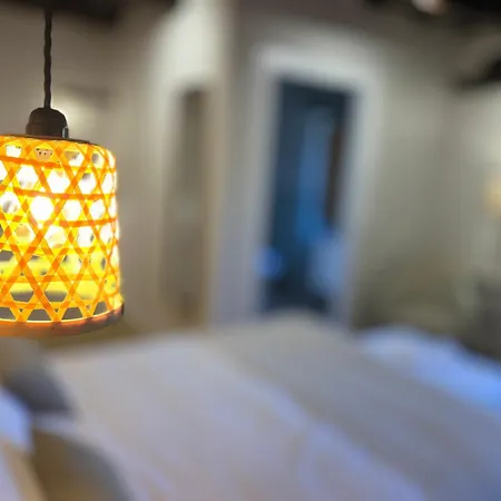 Y El Retiro Del Oso *