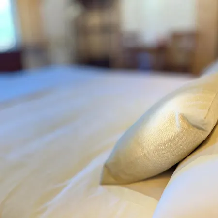 Y El Retiro Del Oso Verdena