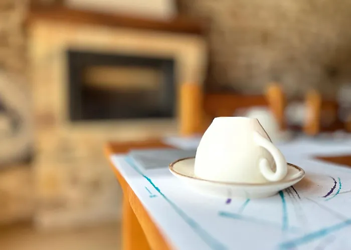 Y El Retiro Del Oso *