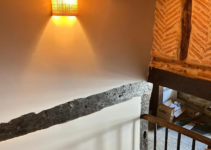 Y El Retiro Del Oso *