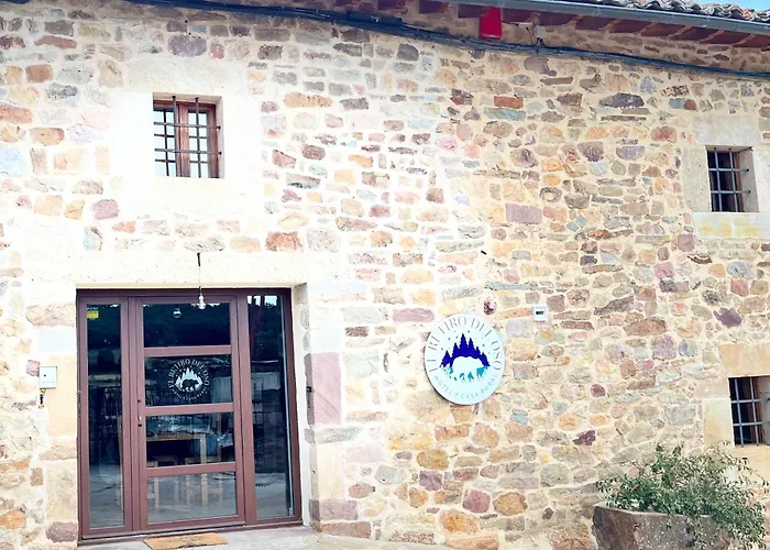 Y El Retiro Del Oso Verdena