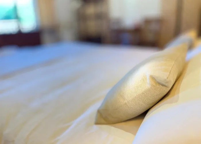 Y El Retiro Del Oso Verdena